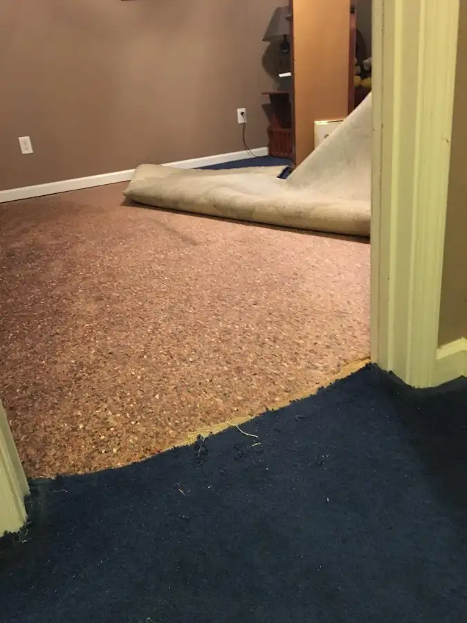 Carpet pad removal revealing water damage during Water Mitigation Services in Gold River