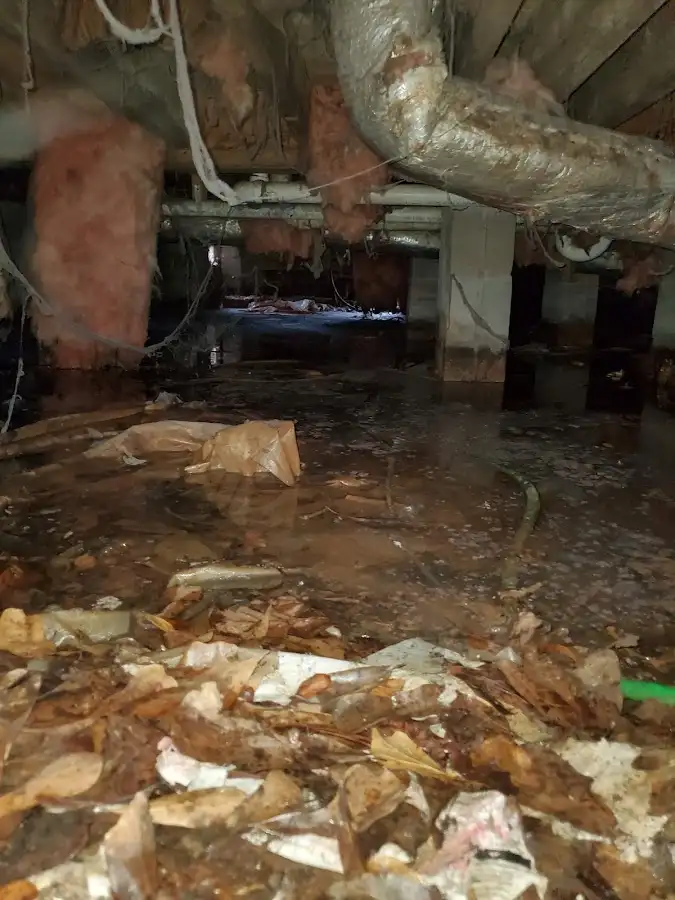 Crawl space flood assessment for Leak Detection & Repair in Gold River