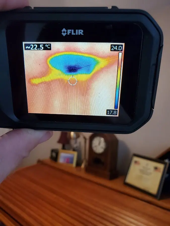 Thermal imaging inspection for water damage in Gold River