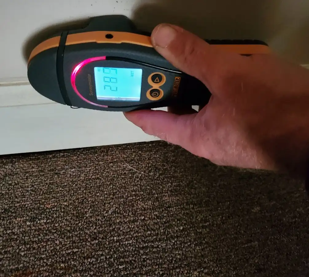 Moisture detection at baseboard during Mold Inspection & Testing in Gold River